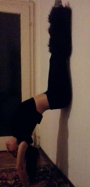 Victoria from South Carolina is looking for adult webcam chat